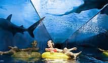 Photo 3 Dubai Atlantis Aquaventure Entrance Tickets