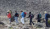 Photo 3 Kilimanjaro Luxury 7-day Hike