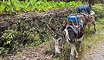 Photo 4 Santo Antão, Highlights by car