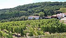 Fotografie 3 Private Lisbon Southern Region (Fernão Pó) Wine Tasting Tour
