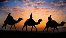 Photo 3 Camel ride in Marrakech Palmeraie Oasis