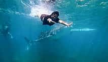 Фото 4 Тур "Дикий и удивительный Себу": Снорклинг с китовой акулой, каньонинг и зиплайн на Кавасане