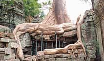 Photo 4 Private One Day Trip-The Best Experience in Siem Reap