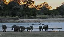 Foto 4 Safari nocturno privado por el sur de Luangwa