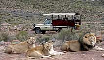 Photo 3 Overnight Safari at Aquila Game Reserve from Cape Town