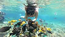 صورة 4 Snorkeling Full-day Tour to Nusa Lembongan and Nusa Penida