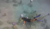 Photo 3 Snorkelling on MUSAN (underwater museum of Ayia Napa)