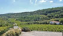 照片 3 Northern Lisbon Wine Tasting