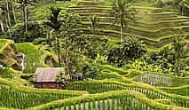 Photo 3 Ubud Highlight Tour