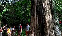 Foto 3 Sulawesi: Tour de 4 días a Toraja desde Makassar para descubrir el espíritu eterno y las tierras altas místicas.
