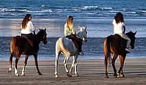 Photo 4 Horse Riding Muscat, 2-hour Trip
