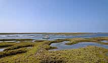 Foto 4 Discover Faro's Beauty: 1-hour Ria Formosa Eco Tour – Solar-Powered Tranquility in a Natural Park