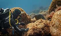 Photo 3 Become a Certified Open Water Diver from Azores - Pico Island  - Your Underwater Adventure Starts Here!