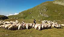 Photo 3 Expedition in Fagaras Mountains from Brasov (Private Tour!)