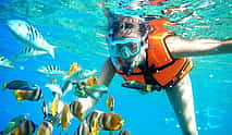 照片 4 Puerto Morelos Outdoor Activity Experience
