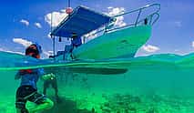 Photo 3 Private Day Trip in Playa del Carmen area for 4 hours