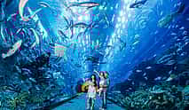 Photo 4 Dubai Mall Aquarium & Underwater Zoo Entrance Tickets