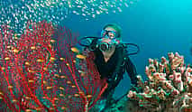 Photo 4 Dive Hurghada Daily