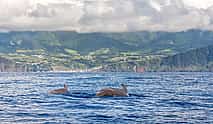 Photo 3 Best of São Miguel Island