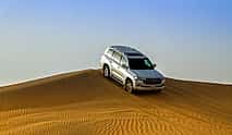 Foto 4 Safari privado de un día por el desierto de Liwa