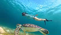Photo 4 Blue Lagoon and Tanjung Jepun Snorkeling Private Tour