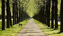 Fotografie 4 Private Transfer From Hamburg to Hannover, English Speaking Driver
