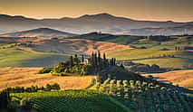 Photo 3 Exclusive Val d'Orcia Tour from Florence