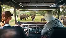Foto 3 Safari privado en jeep a un parque nacional para una pareja