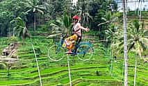 Photo 4 Bali All Inclusive: Ubud Rice Terraces, Temples and Volcano
