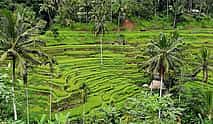 Photo 4 Ubud Adventure and Nature