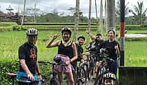 Photo 3 Gowez Bali Cycling Tours