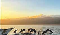 Photo 3 Lovina Dolphin Sunrise Tour
