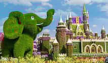 Photo 3 Private Dubai City tour & Miracle Garden Visit