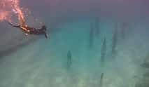 Photo 4 Snorkelling on MUSAN (underwater museum of Ayia Napa)