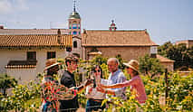 Photo 3 Enchanting Sitges Village: Day Trip with Sailboat Cruise, Winery Visit from Barcelona