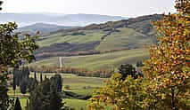 Foto 4 Exklusive Val d'Orcia Tour ab Florenz