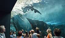 Photo 4 Cretaquarium Tour From Heraklion - Pick up from Kokkini Hani to Malia