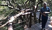Photo 4 Elephant & Monkey Sanctuary Tour from Johannesburg