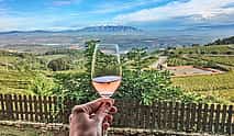 Photo 3 Montserrat & Penedes Winery Private Day Trip with Cava Tasting