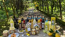 Фото 3 Экскурсия на электровелосипеде в Сорренто с дегустацией лимончелло