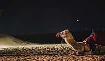 Photo 4 Private direct transfer from Abu Dhabi to Dubai