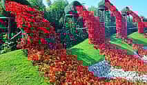 Photo 4 Dubai Miracle Garden Tickets with Round Trip Transfers
