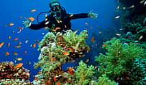 Photo 3 Scuba Diving