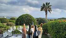 Foto 4 Cata de vinos privada en su villa u hotel