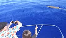 Photo 4 Whales & Dolphins Watching Cruise from Calheta, Madeira