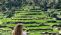 Photo 4 Bali: Sekumpul Waterfalls, Rice Terraces, and Fuji Waterfall