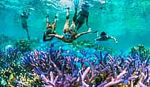 Фото 4 Snorkeling Adventure Blue Lagoon & Tanjung Jepun Exploration Kit