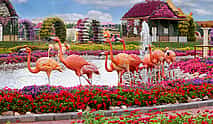 Photo 3 Miracle Garden Tour