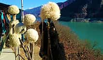 Photo 4 Explore Gudauri: Easy Tour from Tbilisi