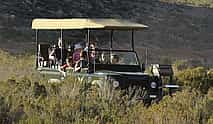 Photo 4 Overnight Safari at Aquila Game Reserve from Cape Town